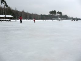 5 cech, które zagwarantują poprawną jazdę na łyżwach