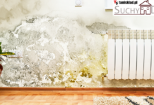 Iniekcja krystaliczna: Czym jest i ile kosztuje za metr bieżący? Wszystko, co musisz wiedzieć o preparacie „Suchy Dom” Iniekcja krystaliczna: Czym jest i ile kosztuje za metr bieżący